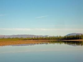 River landscape. Northern reindeer in summer forest. The sky, gr photo