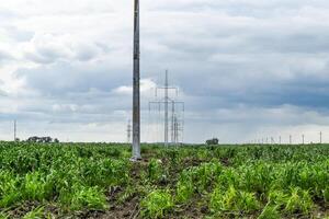 montaje y instalación de nuevo apoyo de un poder línea foto