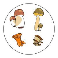 set of vector colored mushrooms in cartoon style. Mushrooms in a white circle, decoration for plates, dishes.