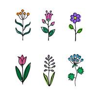 vector color illustration, set of flowers on a white background.