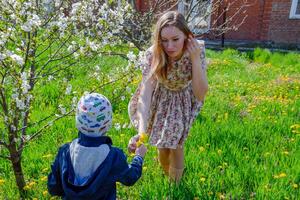 Mother walks with her son among the flowers of a dandelion. Mother and son photo