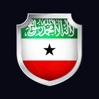Somaliland Silver Shield Flag Icon vector
