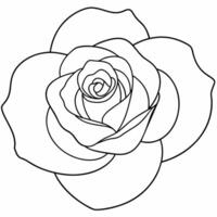 rose black and white vector illustration for coloring book