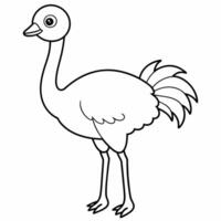 A coloring book that shows the drawing of an ostrich. vector