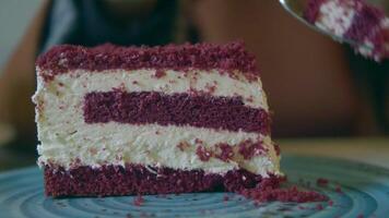 Coupe une pièce de violet velours gâteau avec crème video