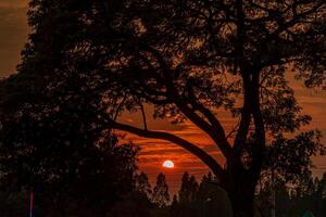 hermosa puesta de sol en el campo foto