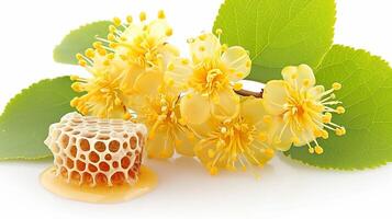 AI generated Honey dripping from honeycombs and flowers of linden on a white background photo