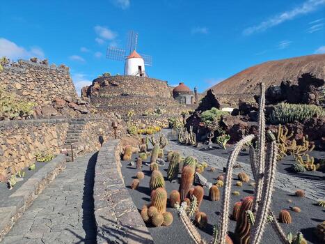 explorar lanzarote maravilloso cactus jardines, dónde el vibrante matices y variado formas de estos plantas crear un fascinante tapiz de Desierto vida. foto