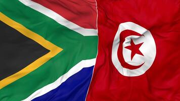 South Africa and Tunisia Flags Together Seamless Looping Background, Looped Bump Texture Cloth Waving Slow Motion, 3D Rendering video