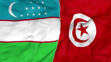 Uzbekistan and Tunisia Flags Together Seamless Looping Background, Looped Bump Texture Cloth Waving Slow Motion, 3D Rendering video