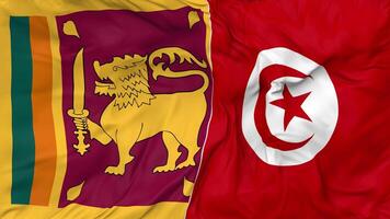 sri lanka et Tunisie drapeaux ensemble sans couture boucle arrière-plan, en boucle bosse texture tissu agitant lent mouvement, 3d le rendu video