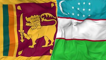 sri lanka y Uzbekistán banderas juntos sin costura bucle fondo, serpenteado bache textura paño ondulación lento movimiento, 3d representación video