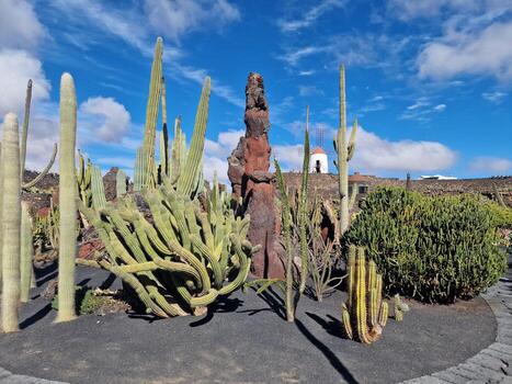 explorar lanzarote maravilloso cactus jardines, dónde el vibrante matices y variado formas de estos plantas crear un fascinante tapiz de Desierto vida. foto