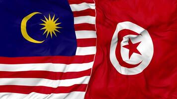 Malaysia and Tunisia Flags Together Seamless Looping Background, Looped Bump Texture Cloth Waving Slow Motion, 3D Rendering video