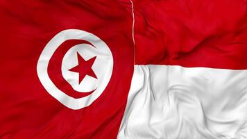 Indonesia and Tunisia Flags Together Seamless Looping Background, Looped Bump Texture Cloth Waving Slow Motion, 3D Rendering video