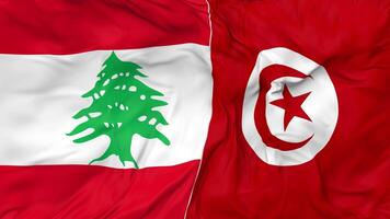 Lebanon and Tunisia Flags Together Seamless Looping Background, Looped Bump Texture Cloth Waving Slow Motion, 3D Rendering video