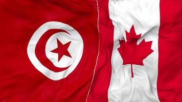 Canada and Tunisia Flags Together Seamless Looping Background, Looped Bump Texture Cloth Waving Slow Motion, 3D Rendering video