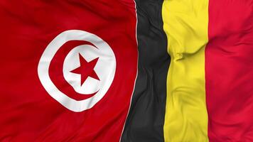 Belgium and Tunisia Flags Together Seamless Looping Background, Looped Bump Texture Cloth Waving Slow Motion, 3D Rendering video