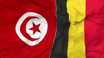 Belgique et Tunisie drapeaux ensemble sans couture boucle arrière-plan, en boucle bosse texture tissu agitant lent mouvement, 3d le rendu video