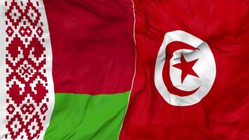 Belarus and Tunisia Flags Together Seamless Looping Background, Looped Bump Texture Cloth Waving Slow Motion, 3D Rendering video