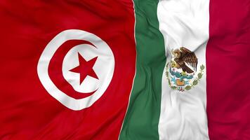 México e Tunísia bandeiras juntos desatado looping fundo, em loop colisão textura pano acenando lento movimento, 3d Renderização video