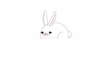 Easter bunny blinking line 2D character animation. Eastertide rabbit looking around flat color cartoon 4K video, alpha channel. Rodent domestic. Cute white hare animated animal on white background video