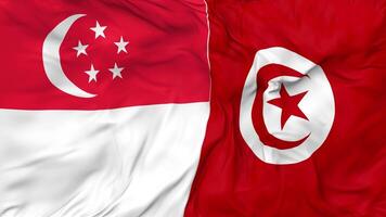 Singapore and Tunisia Flags Together Seamless Looping Background, Looped Bump Texture Cloth Waving Slow Motion, 3D Rendering video