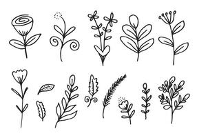 a collection of hand-drawn flower images such as bellflower, chrysanthemums, sunflowers, cotton flowers, and tropical leaves vector