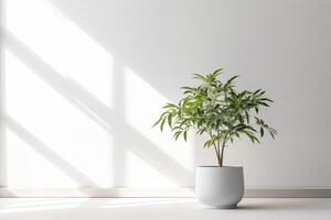 AI generated Indoor plant in a pot near the window on the white background. Space for text. photo