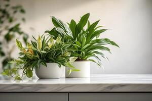 AI generated Home garden plants spread out on counter at home and space for text photo