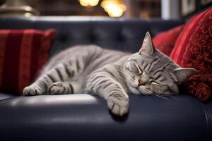 AI generated Shorthair cat sleeping on a couch in living room. Closeup domestic life animals consept. photo