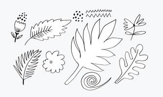 a collection of hand-drawn flower images such as bellflower, chrysanthemums, sunflowers, cotton flowers, and tropical leaves vector