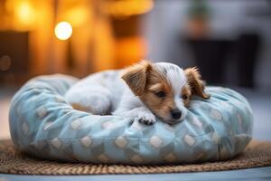 AI generated Cute small terrier dog resting on pet bed at home photo