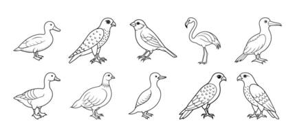 Collection of bird line art elements vector