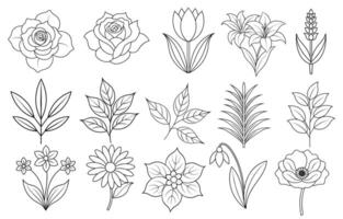 Collection of flower and leaf elements for design for invitation, greeting card, quote, blog, poster. vector