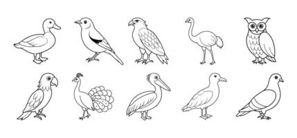 Collection of bird line art elements vector