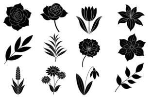 Collection of silhouette flower and leaf elements vector