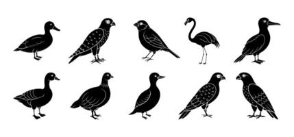 Collection of bird silhouette elements vector