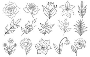 Collection of flower and leaf elements for design for invitation, greeting card, quote, blog, poster. vector