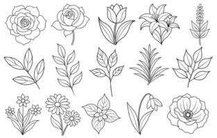 Collection of flower and leaf elements for design for invitation, greeting card, quote, blog, poster. vector