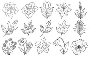 Collection of flower and leaf elements for design for invitation, greeting card, quote, blog, poster. vector