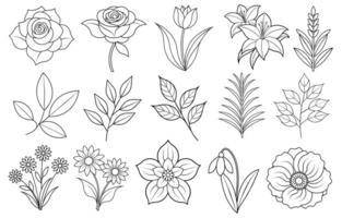 Collection of flower and leaf elements for design for invitation, greeting card, quote, blog, poster. vector