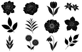 Collection of silhouette flower and leaf elements vector