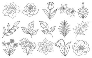 Collection of flower and leaf elements for design for invitation, greeting card, quote, blog, poster. vector