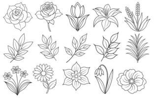 Collection of flower and leaf elements for design for invitation, greeting card, quote, blog, poster. vector