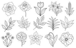 Collection of flower and leaf elements for design for invitation, greeting card, quote, blog, poster. vector
