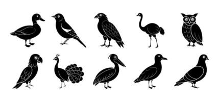 Collection of bird silhouette elements vector