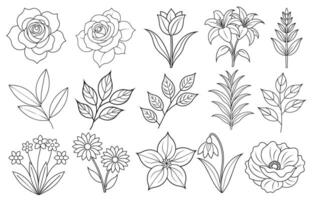 Collection of flower and leaf elements for design for invitation, greeting card, quote, blog, poster. vector