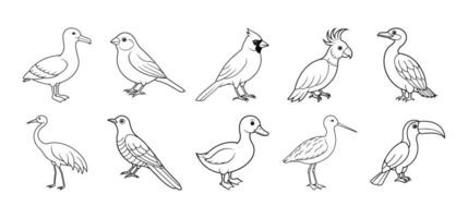 Collection of bird line art elements vector