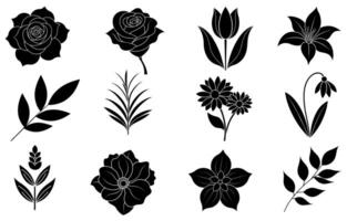 Collection of silhouette flower and leaf elements vector